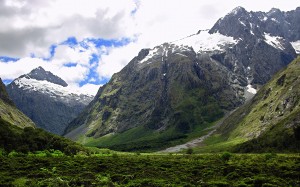 NZ